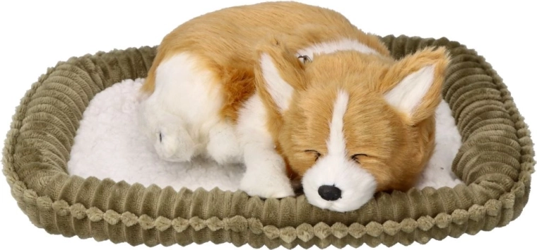 Soft cuddly companion
