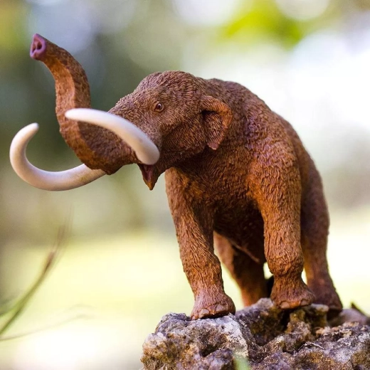 Learning through play for little and big explorers