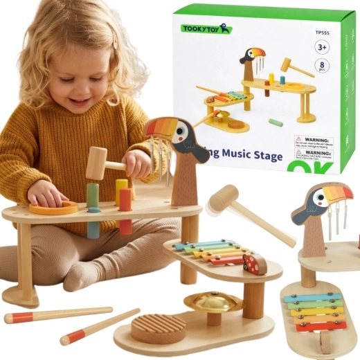 Tooky Toy edukativni glazbeni stolić tukan