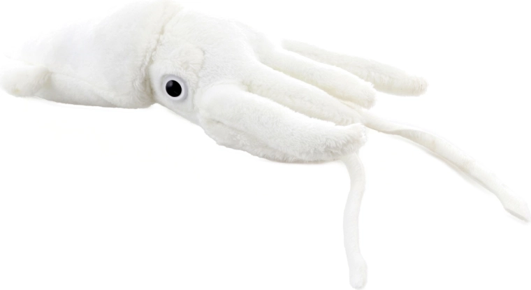 Realističan oblik s krakovima