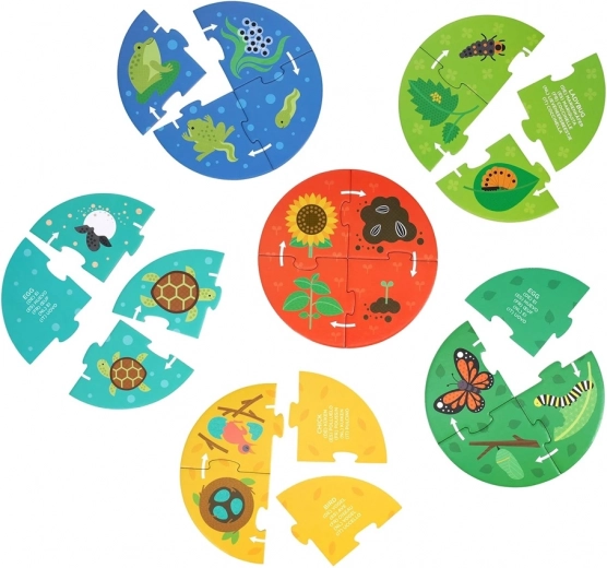 Petit Collage Puzzle Istraživača Životnog Ciklusa