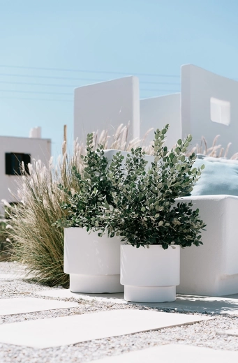 Minimalistički dizajn koji ističe zelenilo