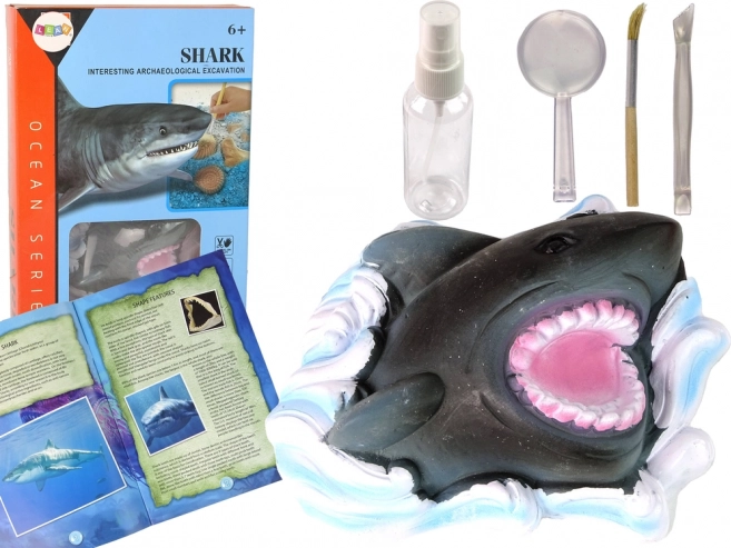 Obrazovni set Istraživanje oceana - Morski pas i trilobiti