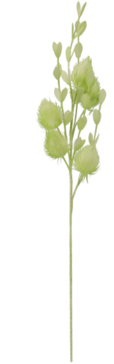 Dekorativna trava 105 cm zelena