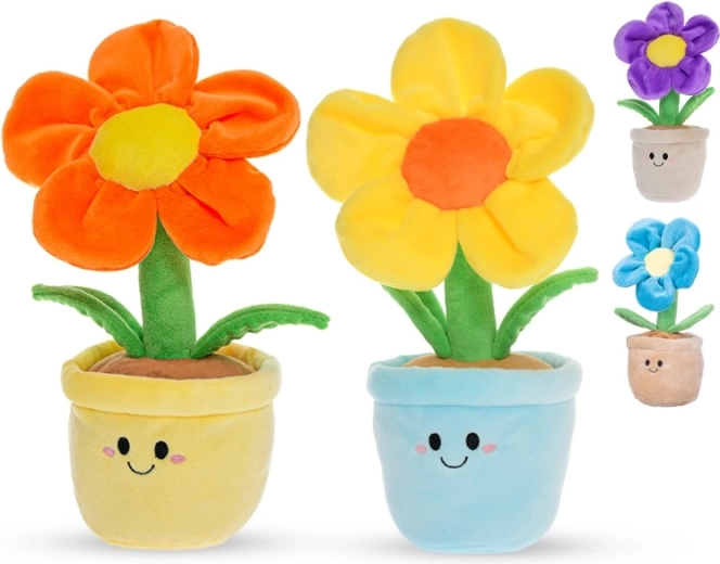 Sigurno od rođenja (0+)