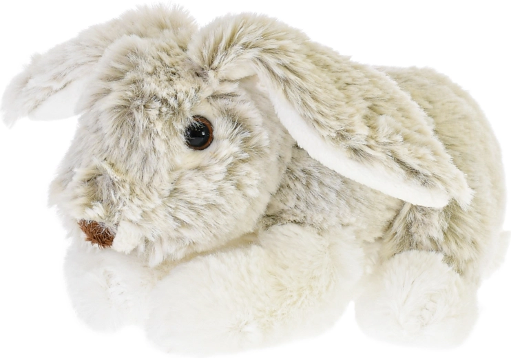 Slatki detalji i duge uške