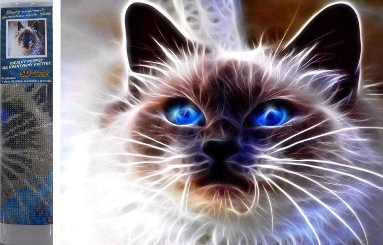 Dijamantno slikanje Mačka magija 30 × 40 cm