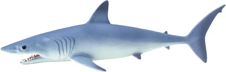Realistic mako shark details