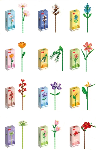 Florist šareno ljetno i poljsko cvijeće (12 vrsta)