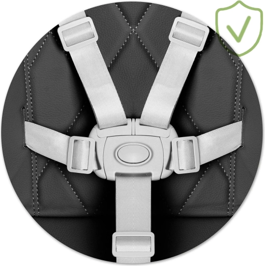 Maksimalna sigurnost zahvaljujući 5-točkastim pojasovima