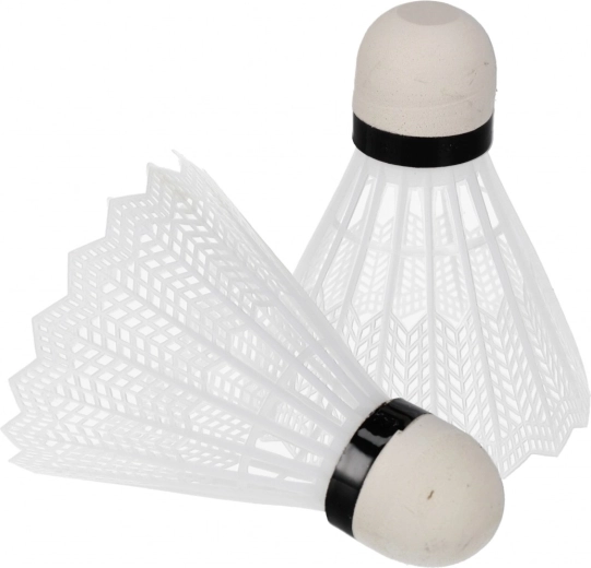 Kompletan set za badminton za trenutnu igru