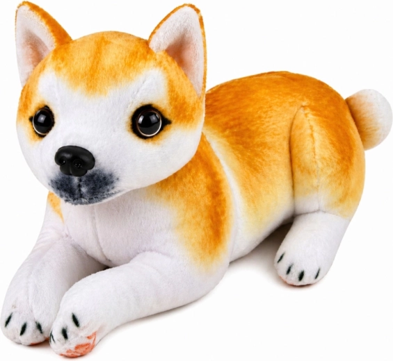 Realističan izgled Shiba Inu