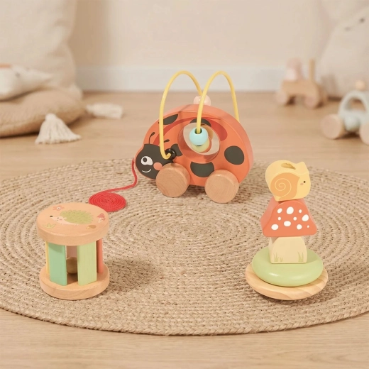 Pull-along ladybug with bead maze wires