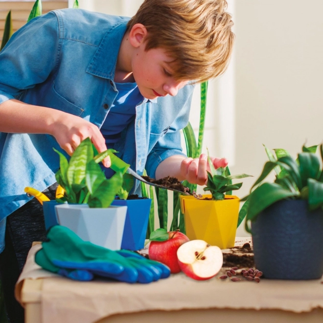 Zabavan uzgoj kod kuće