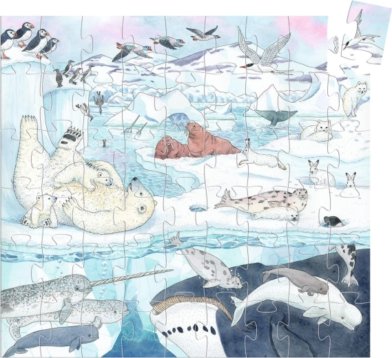 Prekrasna ilustracija polarnog svijeta
