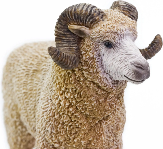Realistic ram detailing