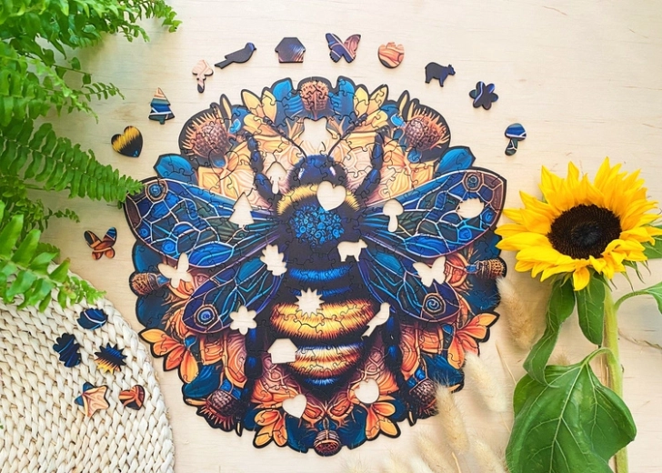 Irregular wooden pieces for a real challenge