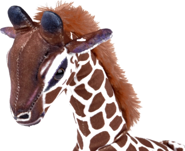 Sigurni detalji i kvalitetna izrada