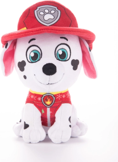 Autentični detalji vatrogasca