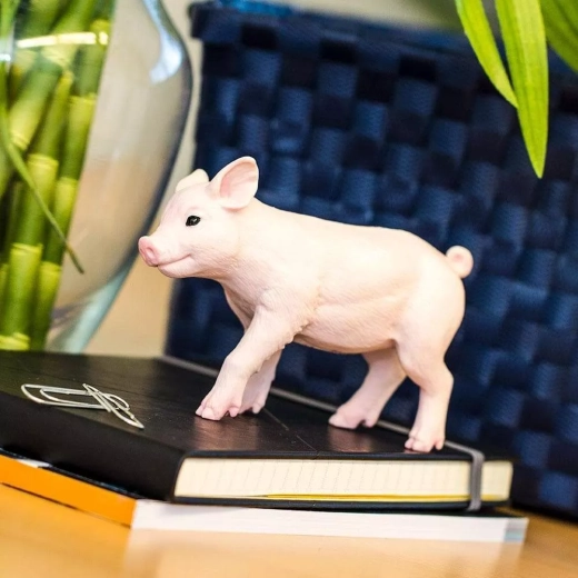 Safari Ltd. brand – learning through play