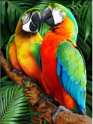 Diamond mosaic (diamond painting) Colorful macaws 30 × 40 cm