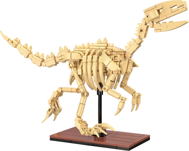 Svjetleće kosti i izložbena izrada