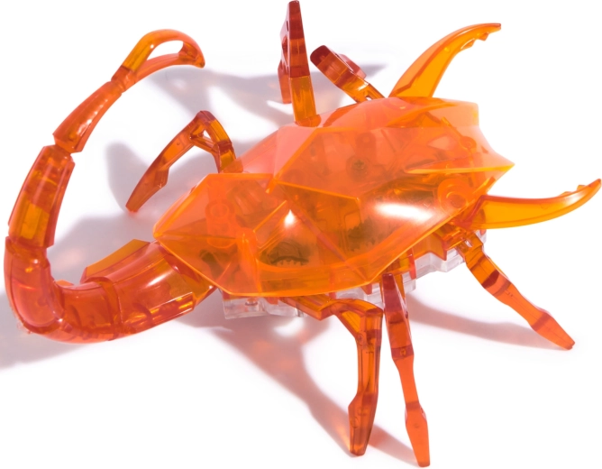 Prozirni dizajn i izdržljiva konstrukcija