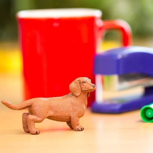 Ideal for play, learning, and collecting