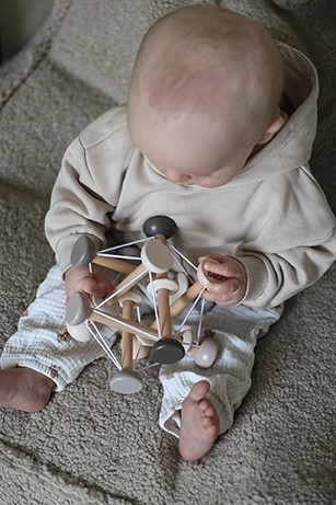 Multisensory activity toy