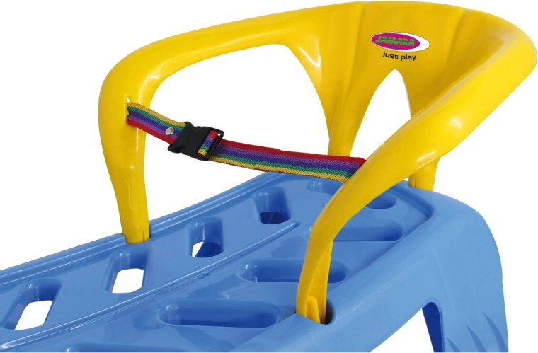 Removable backrest and safety strap