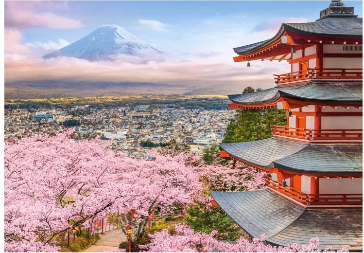 Castorland puzzle Proljeće u Japanu 500 dijelova