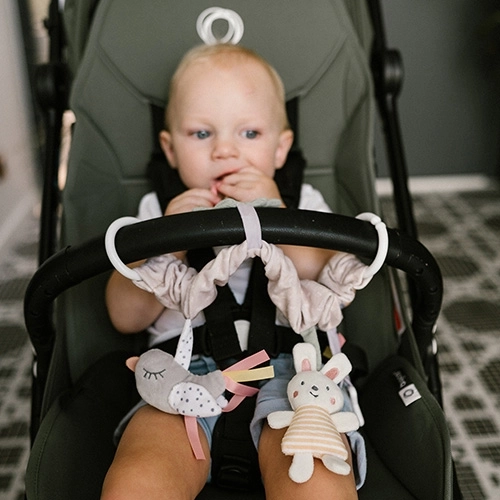 Universal attachment for stroller, crib, and car seat