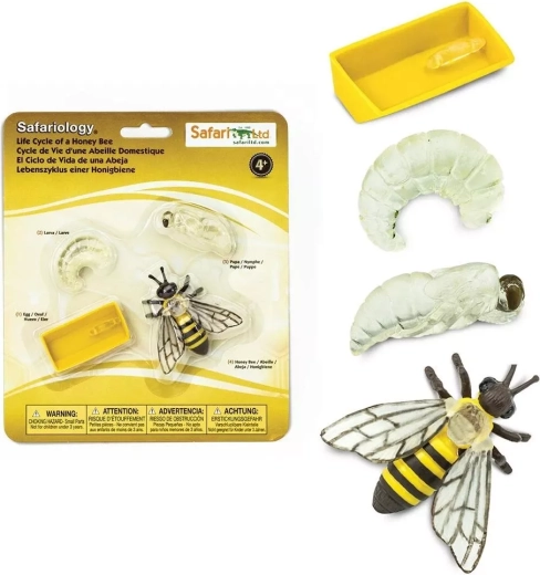 Safari Ltd. Bee Life Cycle