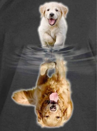 Diamond painting – mirror reflection - dog 30 × 40 cm - 1 piece