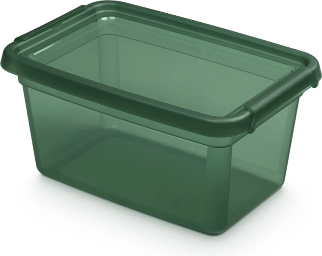 Basestore kutija za pohranu s poklopcem i kopčama PINE 4,5 l