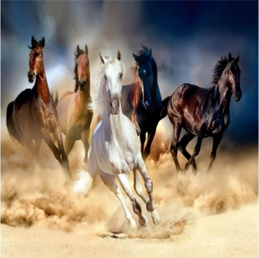 Diamond mosaic (diamond painting) herd of horses galloping 30 × 30 cm