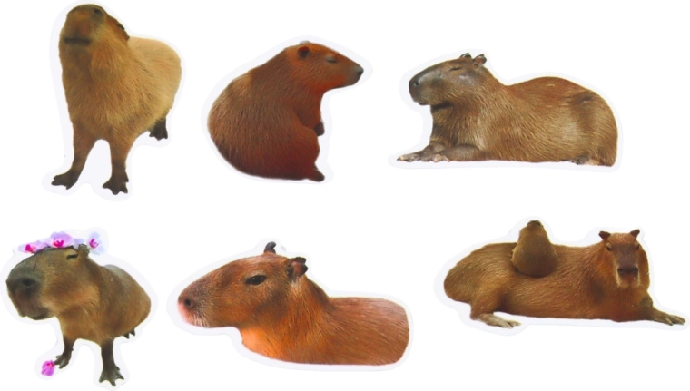 Veći format 6–7 cm za efektno ukrašavanje