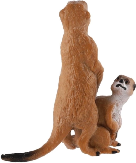 For play and display