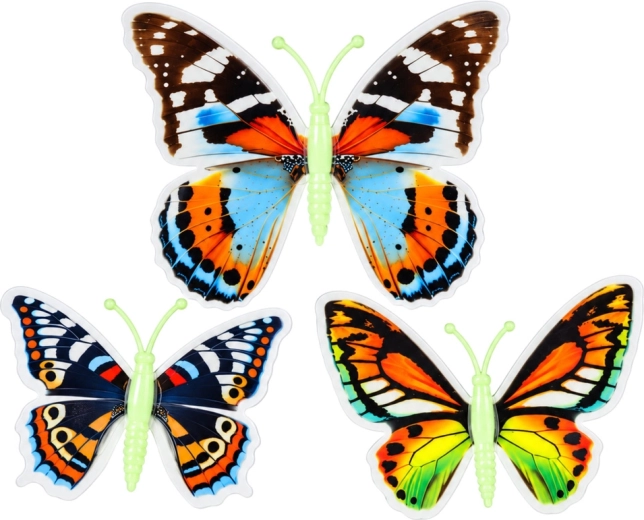 Butterflies with colorful patterns