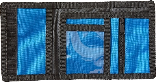 Pregledna organizacija gotovine i kartica