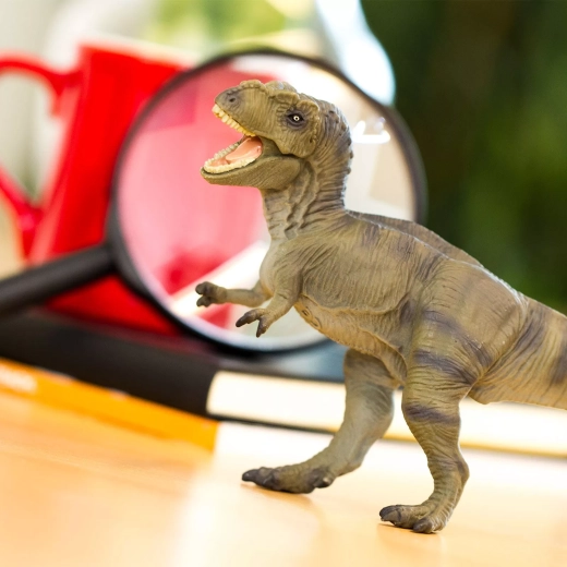 Great for play, learning, and collecting