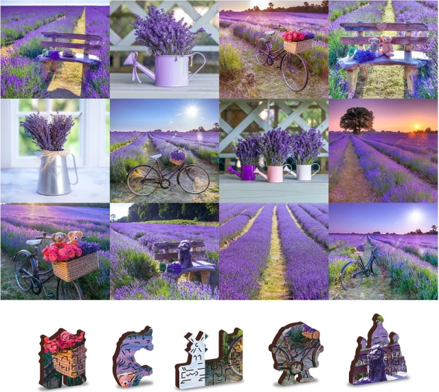 Lavender France design