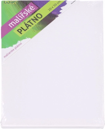 Slikarsko platno 20 × 30 cm