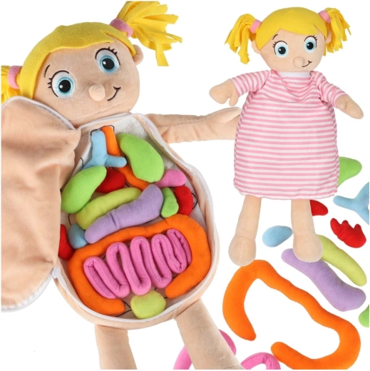 Plišana anatomska lutka za djecu Montessori
