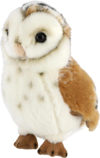 Realistic barn owl coloring