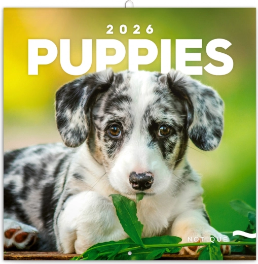 Zabilješki kalendar Štenci 2026