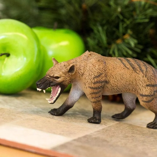 Ideal for play, learning, and collecting