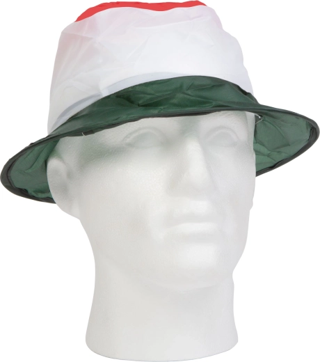 Hungarian fan colors