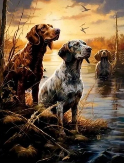 Slikanje po brojevima Psi u močvarama 40 × 50 cm NORIMPEX
