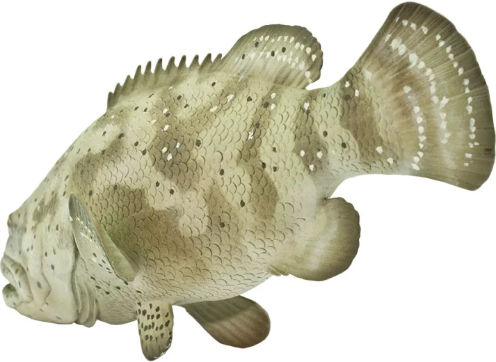 Learning through play: discovering marine species